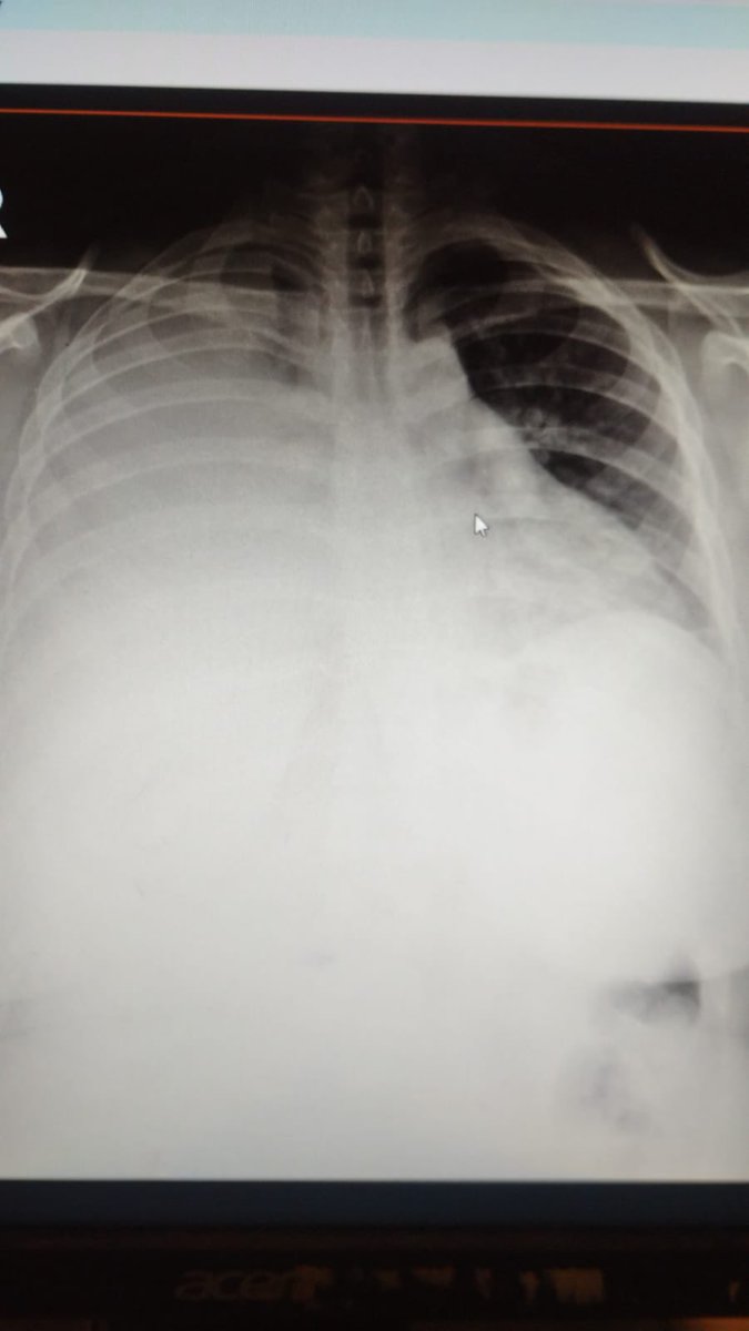 نجدَتْ 🇸🇾 tweet media