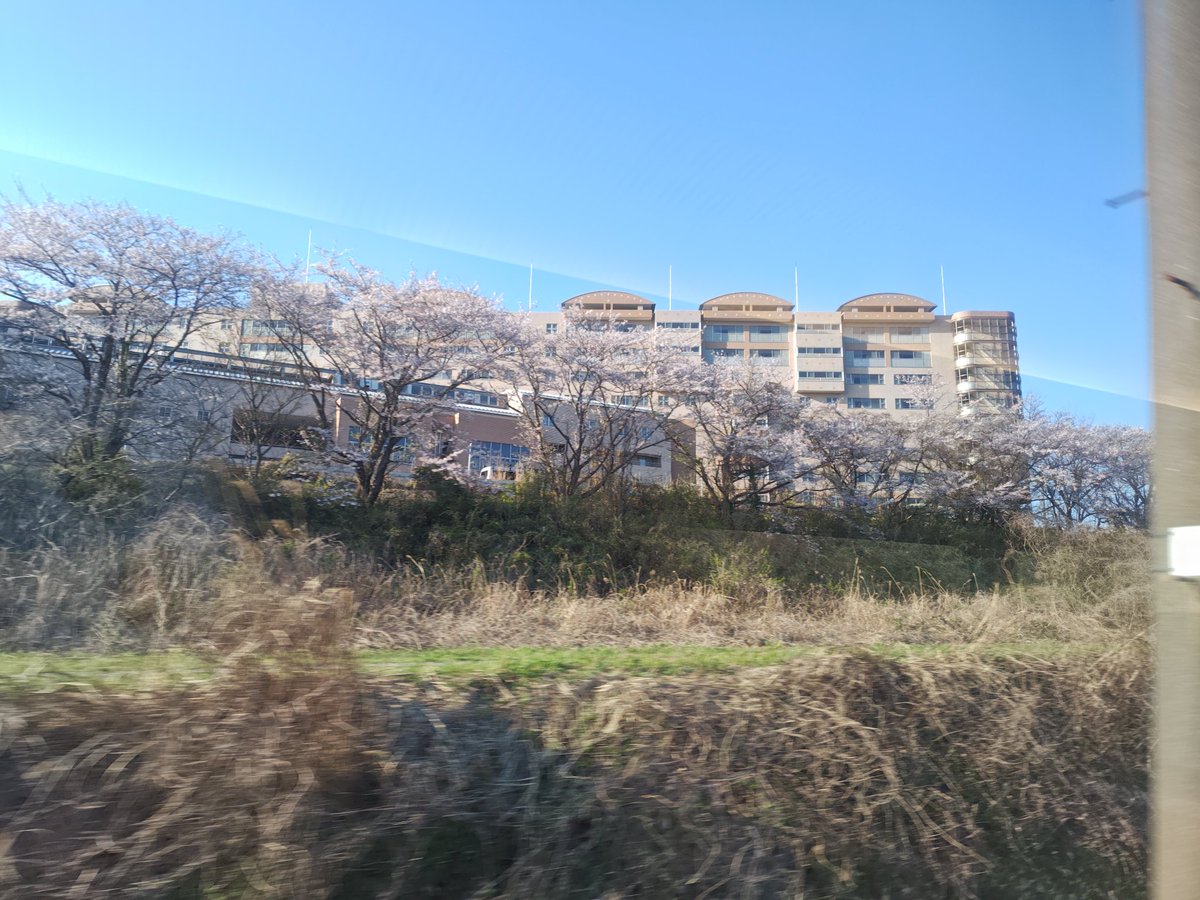 kappa-rider tweet media