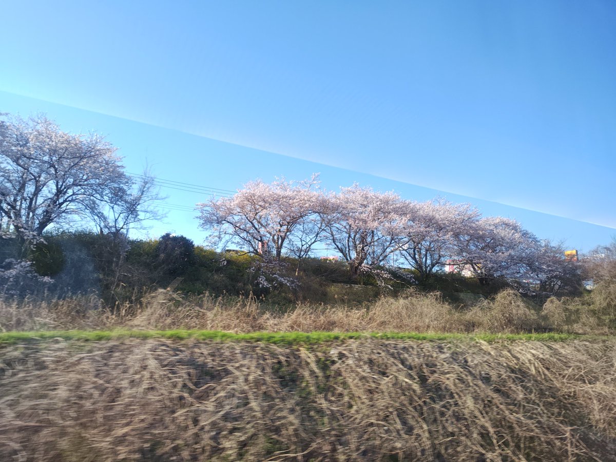 kappa-rider tweet media