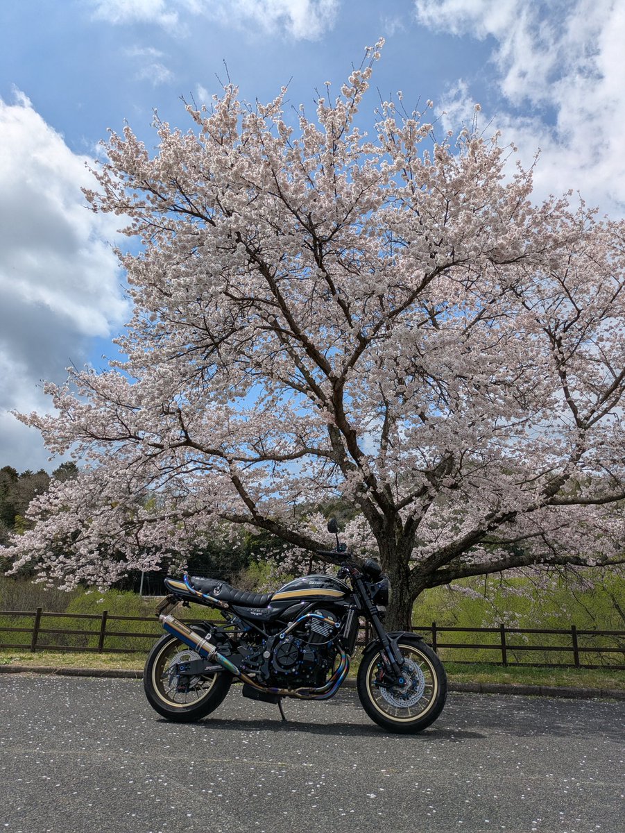 修行小僧 tweet media