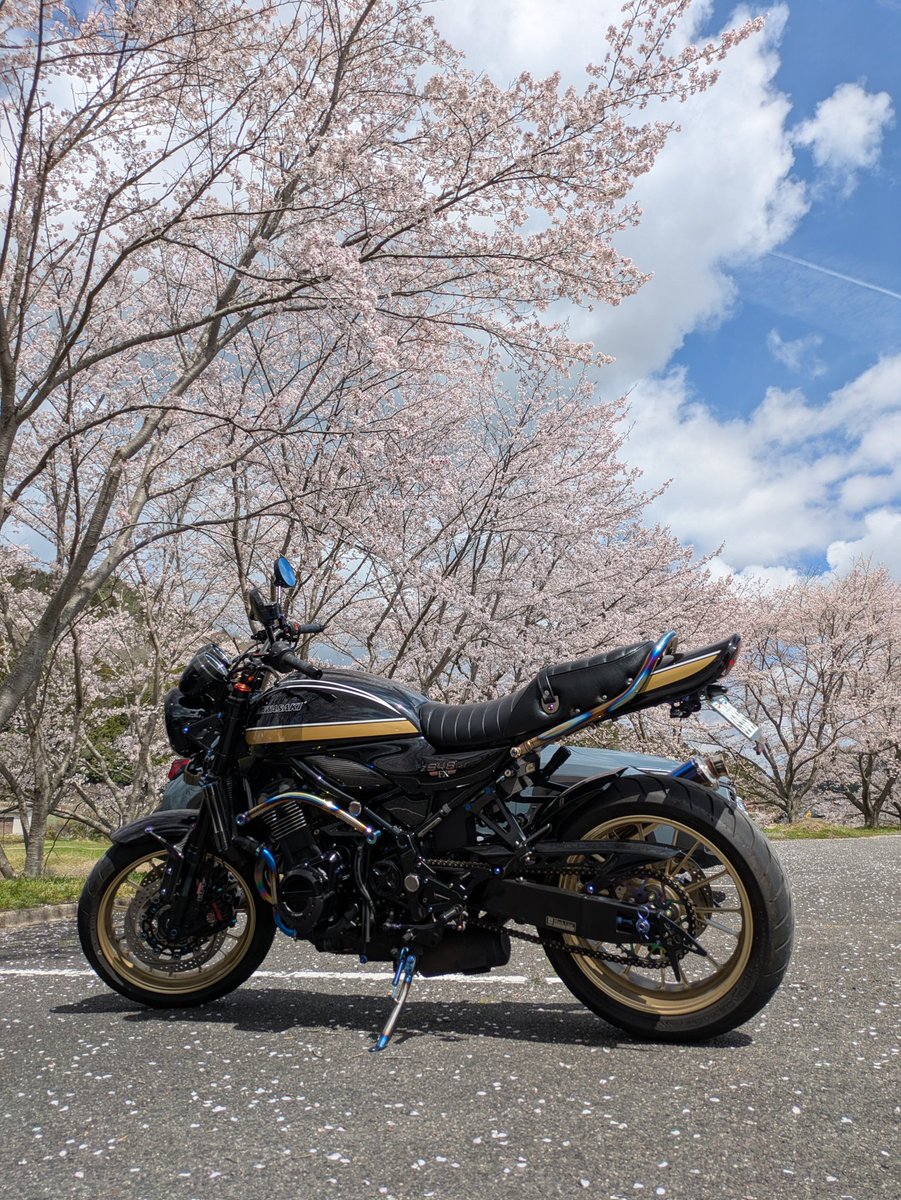 修行小僧 tweet media