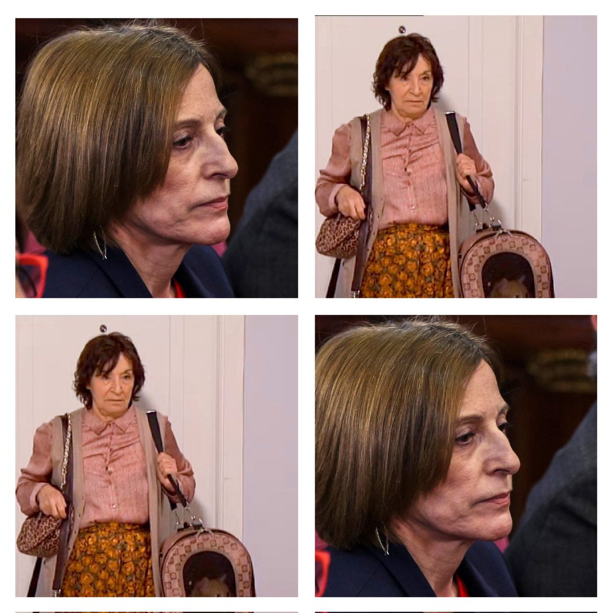 Fermin Trujillo Cuenta Parodia. tweet media