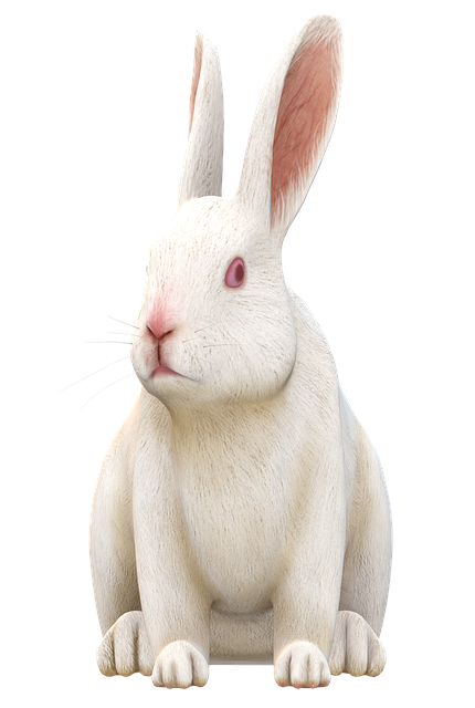 Phillip Harris tweet media