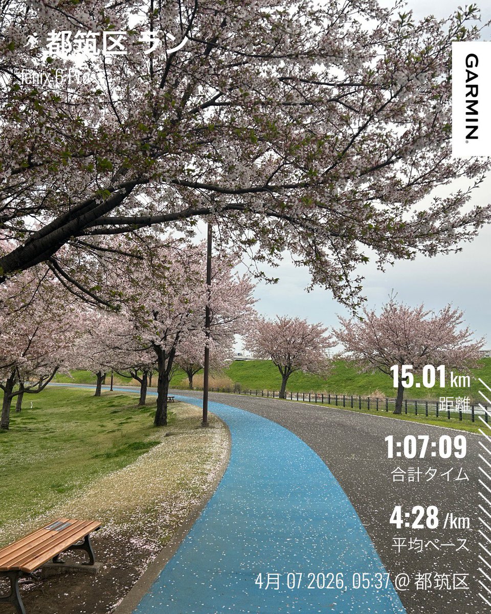 たかゆき｜横浜マラソン2026 tweet media