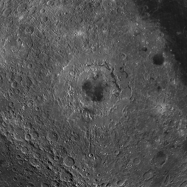 All day Astronomy tweet media