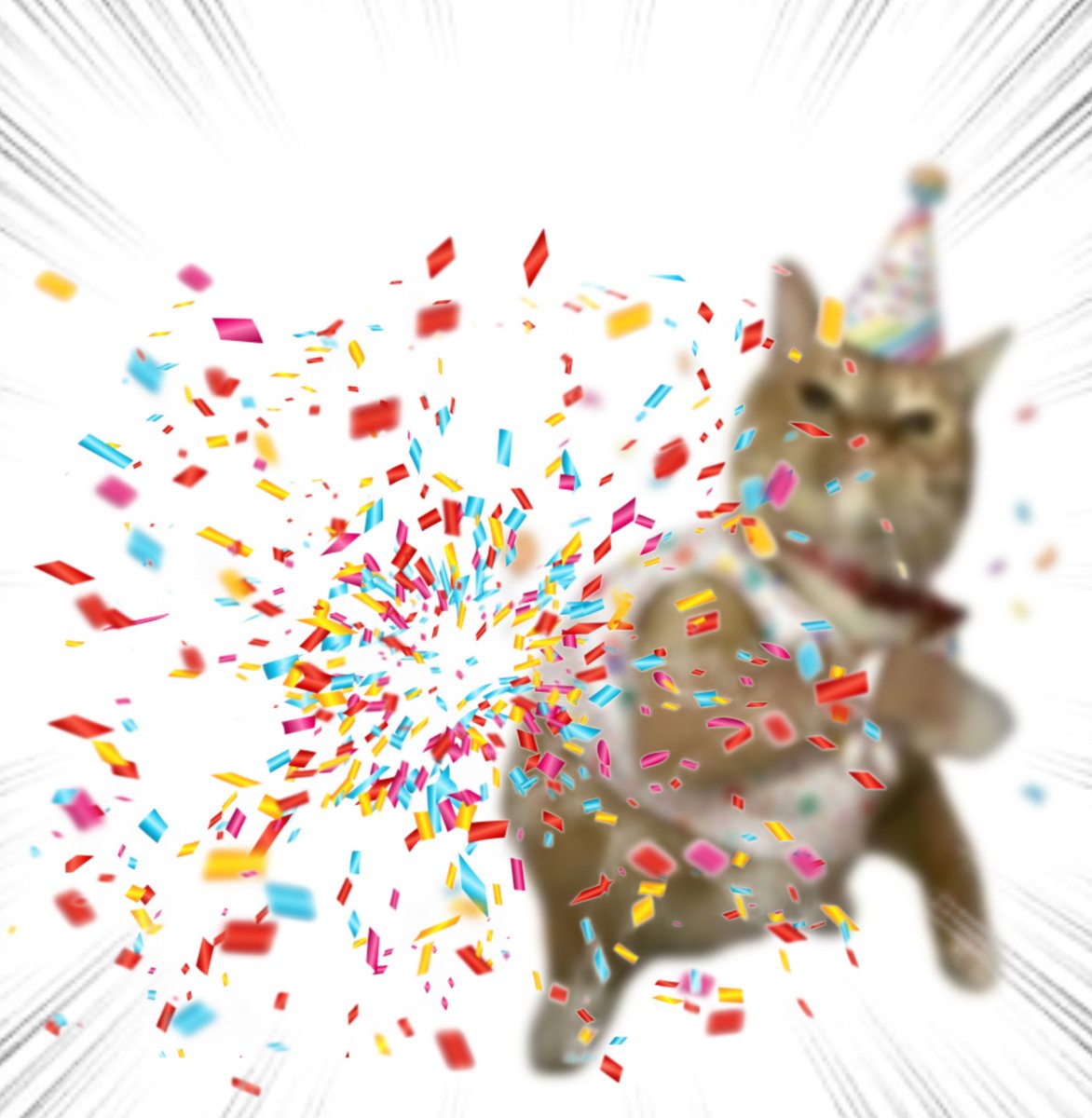 Throwing Things Daily tweet media