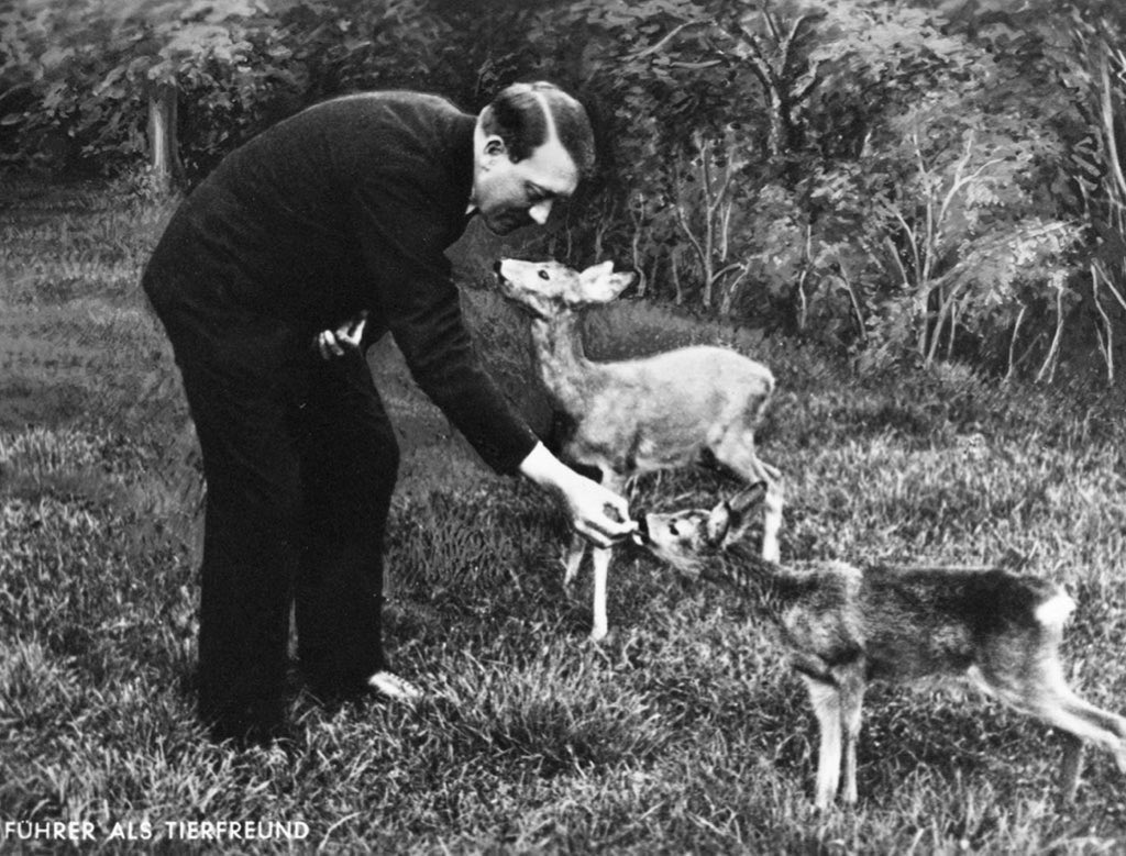 KIZILBASH🇦🇿🇹🇷 ރ tweet media