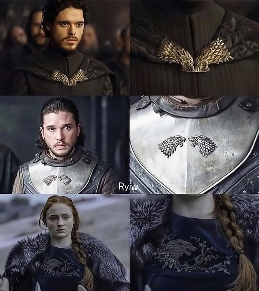 House Stark ⚔️🐺