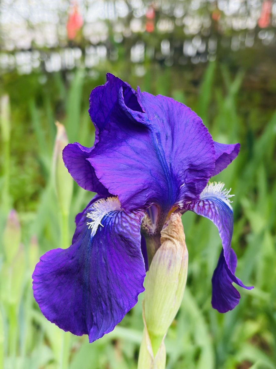 飯山陽 最新刊『中東戦争最前線』発売中！ tweet media