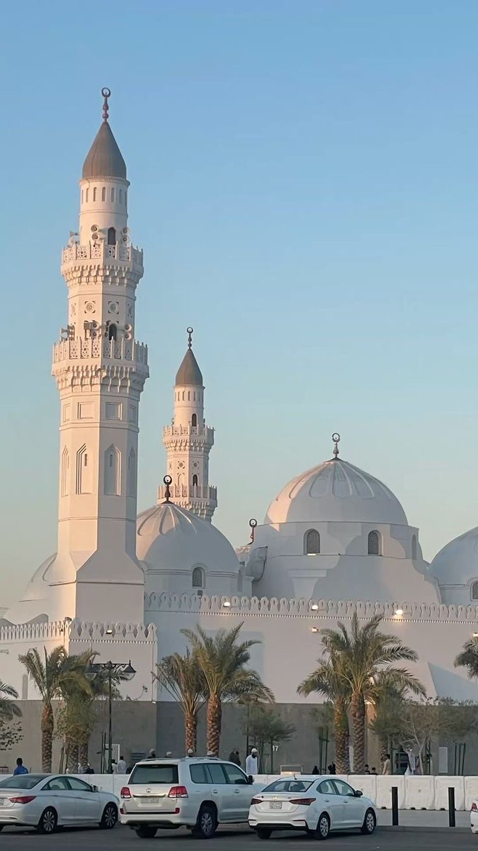 Yaldarim uzge tweet media