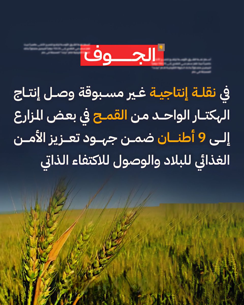 الجوف: إنتاج الهكتار الواحد من القمح وصل إلى 9 أطنان، بما يعادل 900 جرام لكل متر مربع، في قفزة غير مسبوقة بفضل الله.

#معا_نحو_الاكتفاء_الذاتي