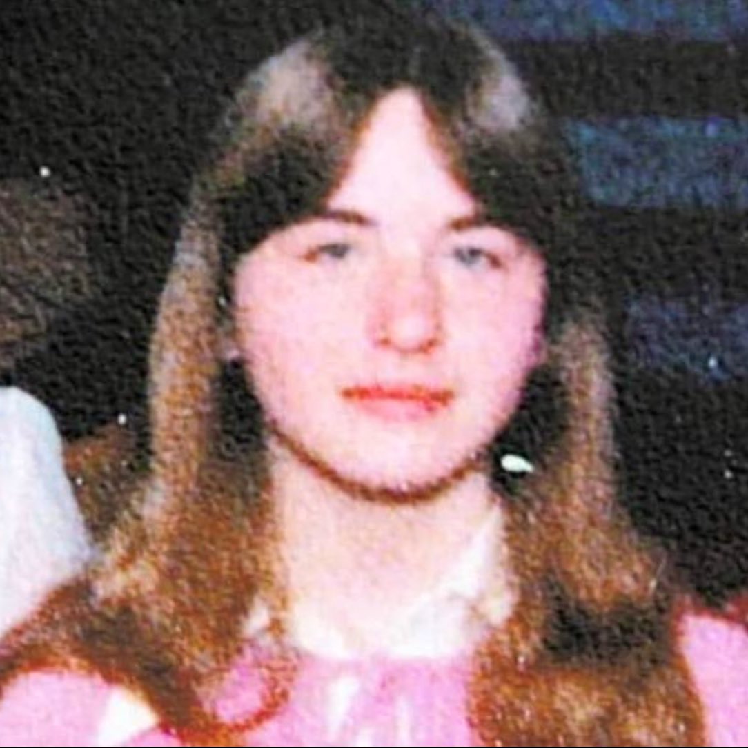 Gusholder Haber Bülteni tweet media