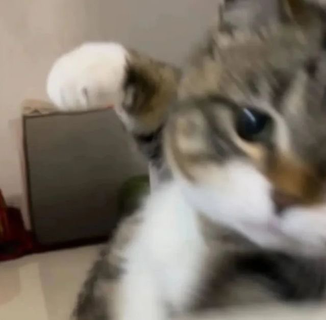 Lillie🐒 VERÁ A BTS /// VIÓ A HOBI ⦿ ☰ ☲ tweet media