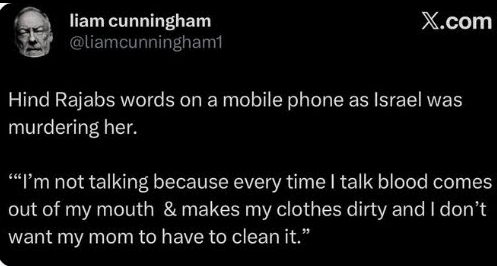 Lavrov's Dawg tweet media