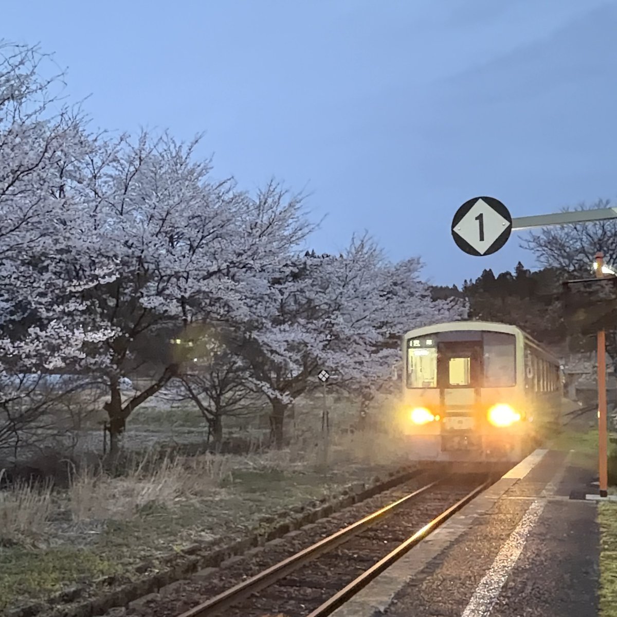 道の駅 奥出雲おろちループ@駅長 tweet media