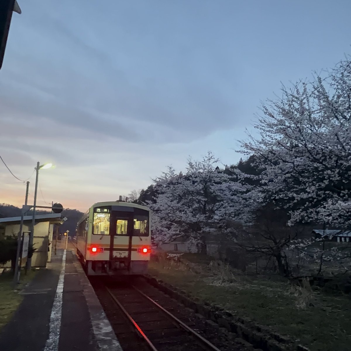 道の駅 奥出雲おろちループ@駅長 tweet media