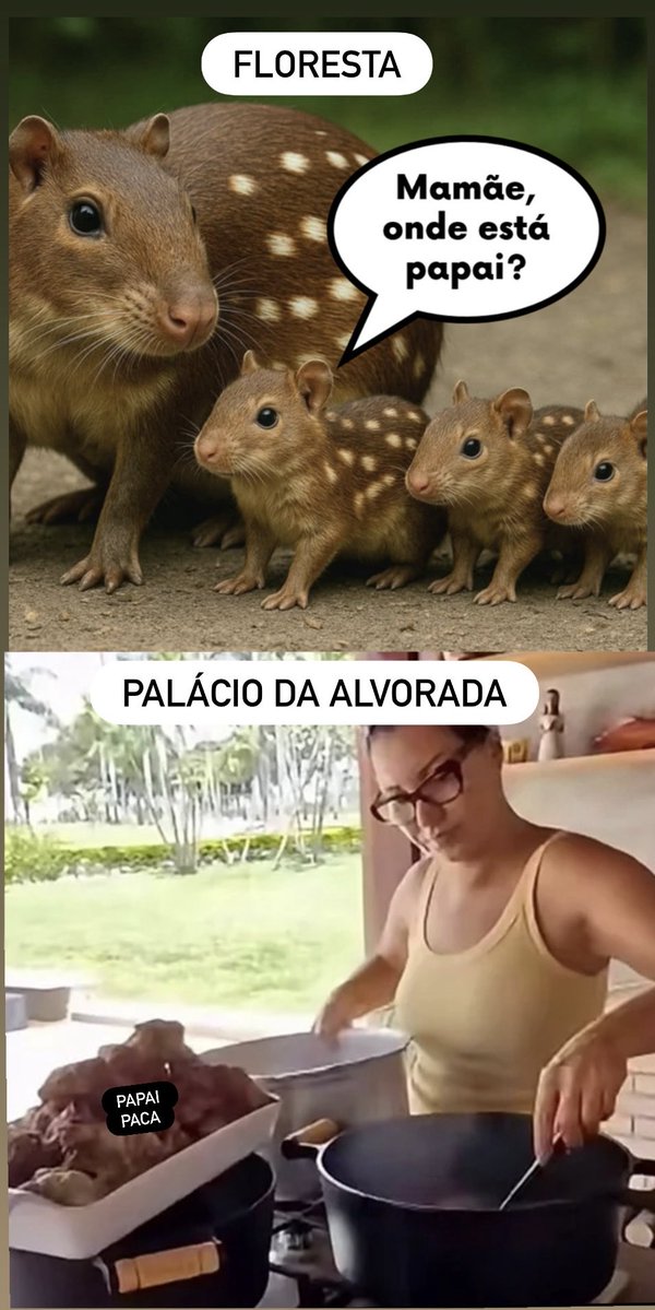 Joaquin Teixeira tweet media