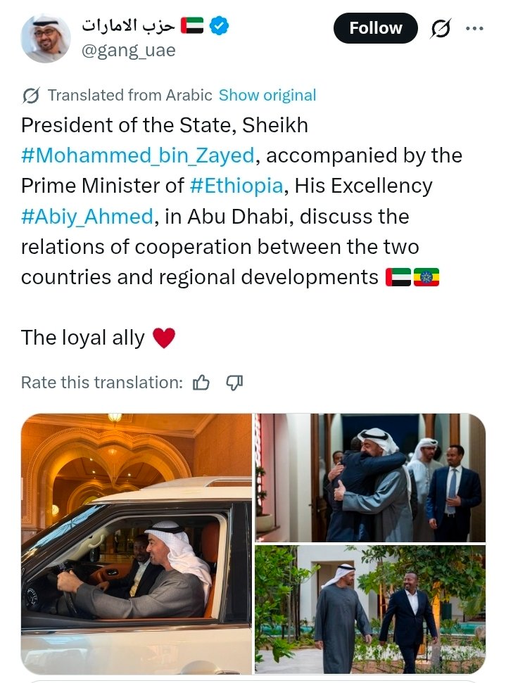 Olive 🌿 tweet media