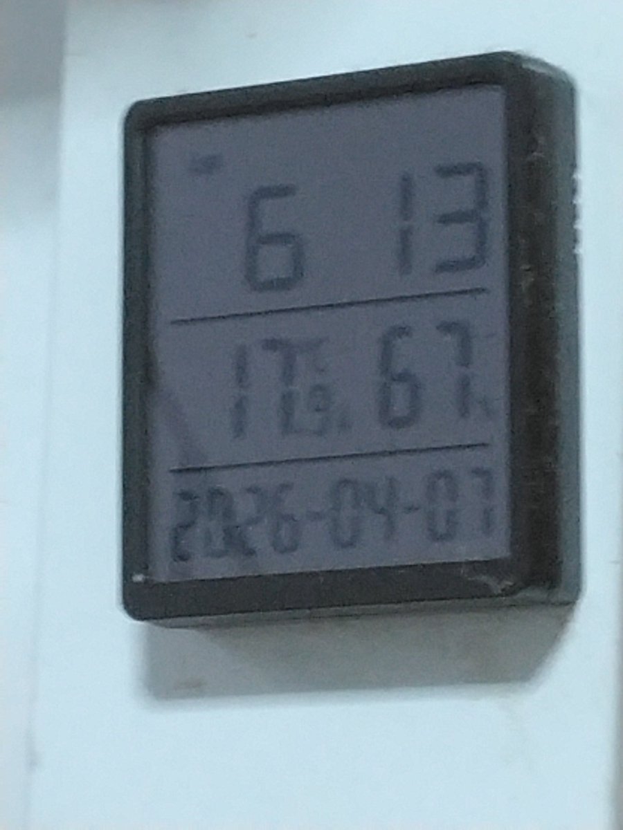 AZUMI◎(お蝶腐人)🐗✨🌕 tweet media