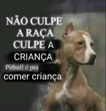 Rodrigo Rodrigues Robaina tweet media