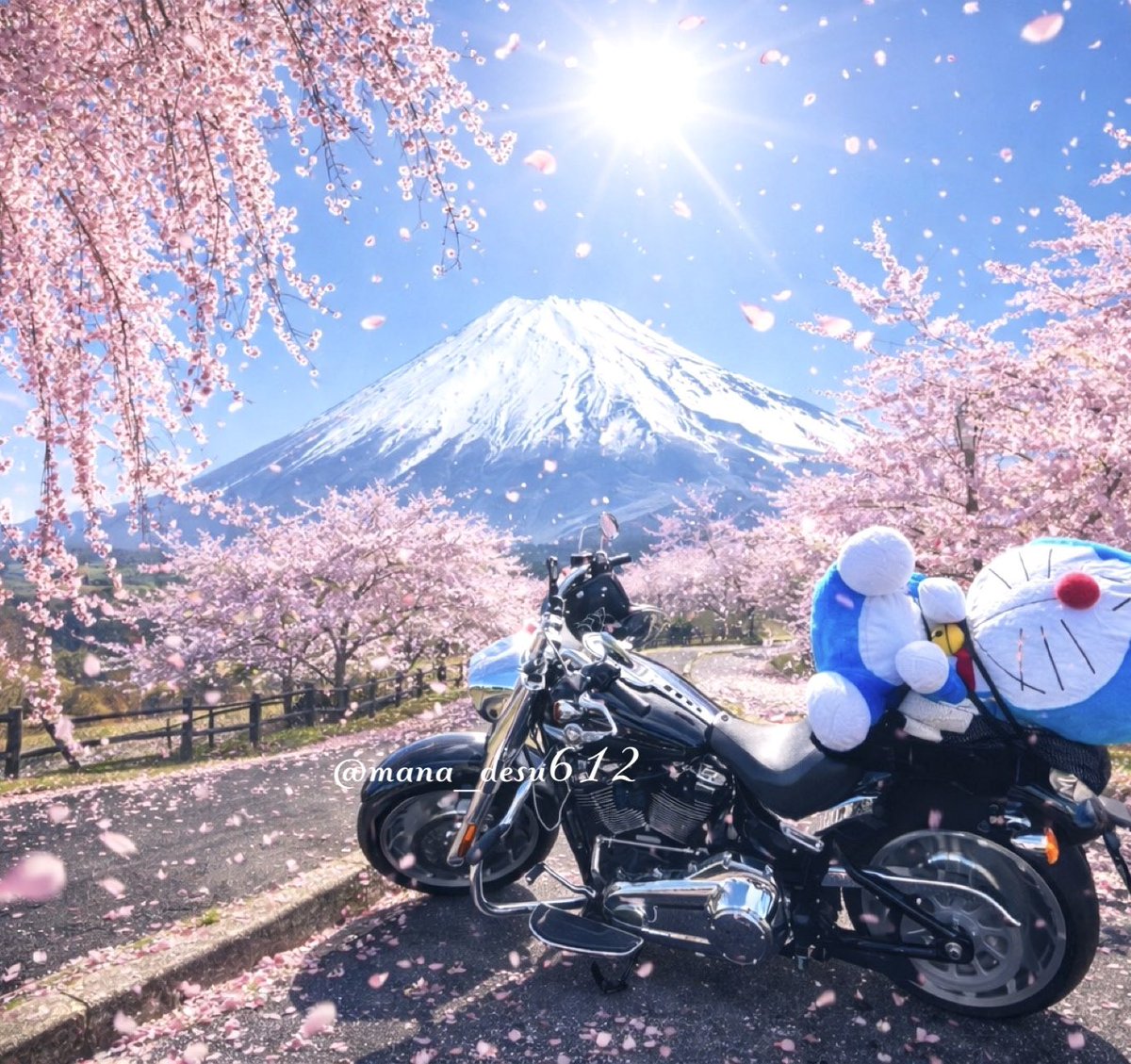 まあな隊長🌷【絶品東京グルメ警備】⛺ハーレー女子キャンプYouTube tweet media