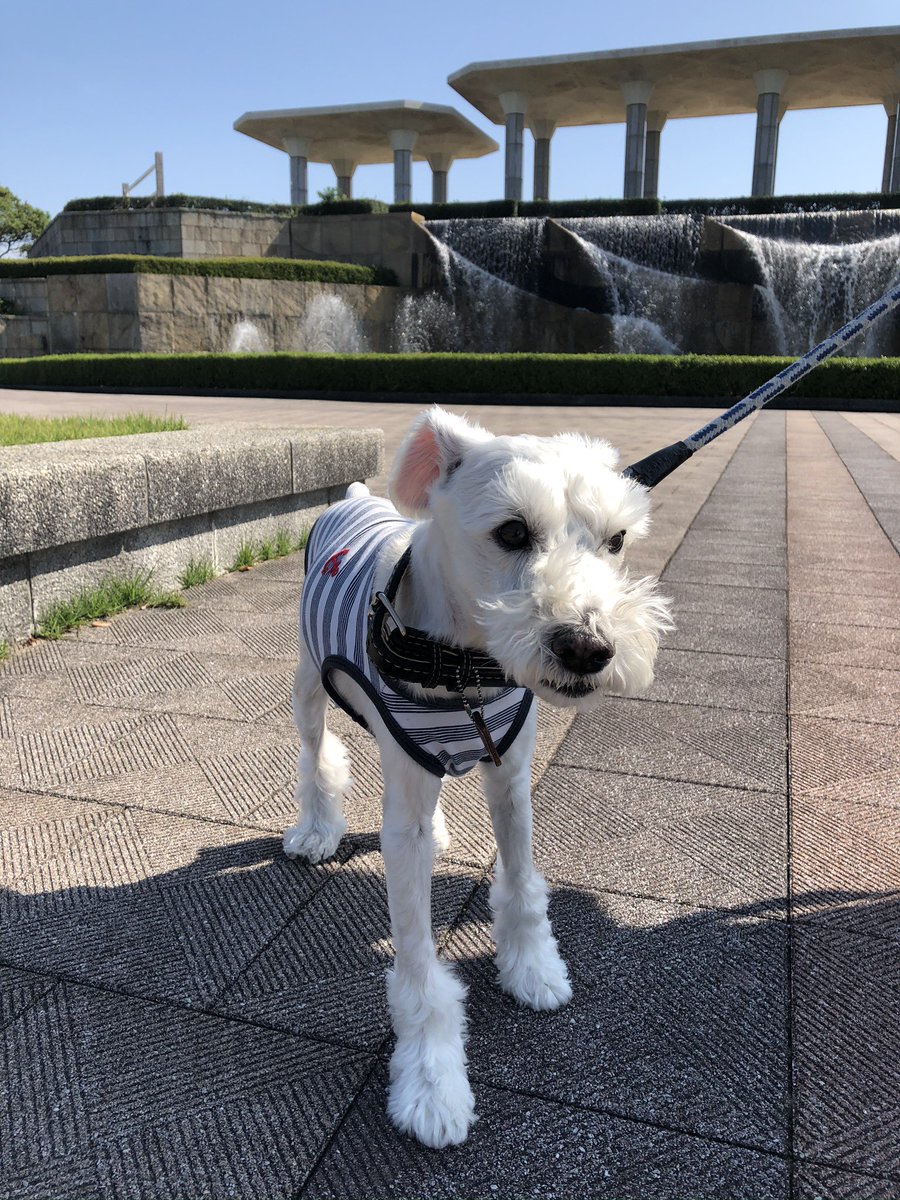 ジャスタ tweet media