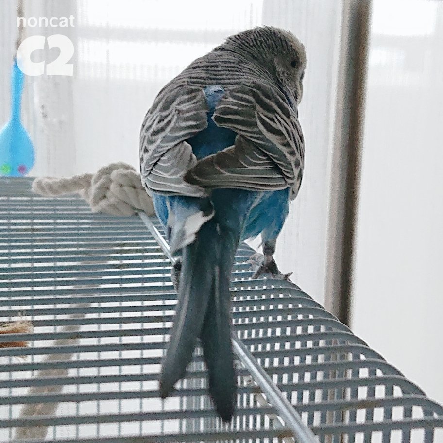 ノンママ tweet media