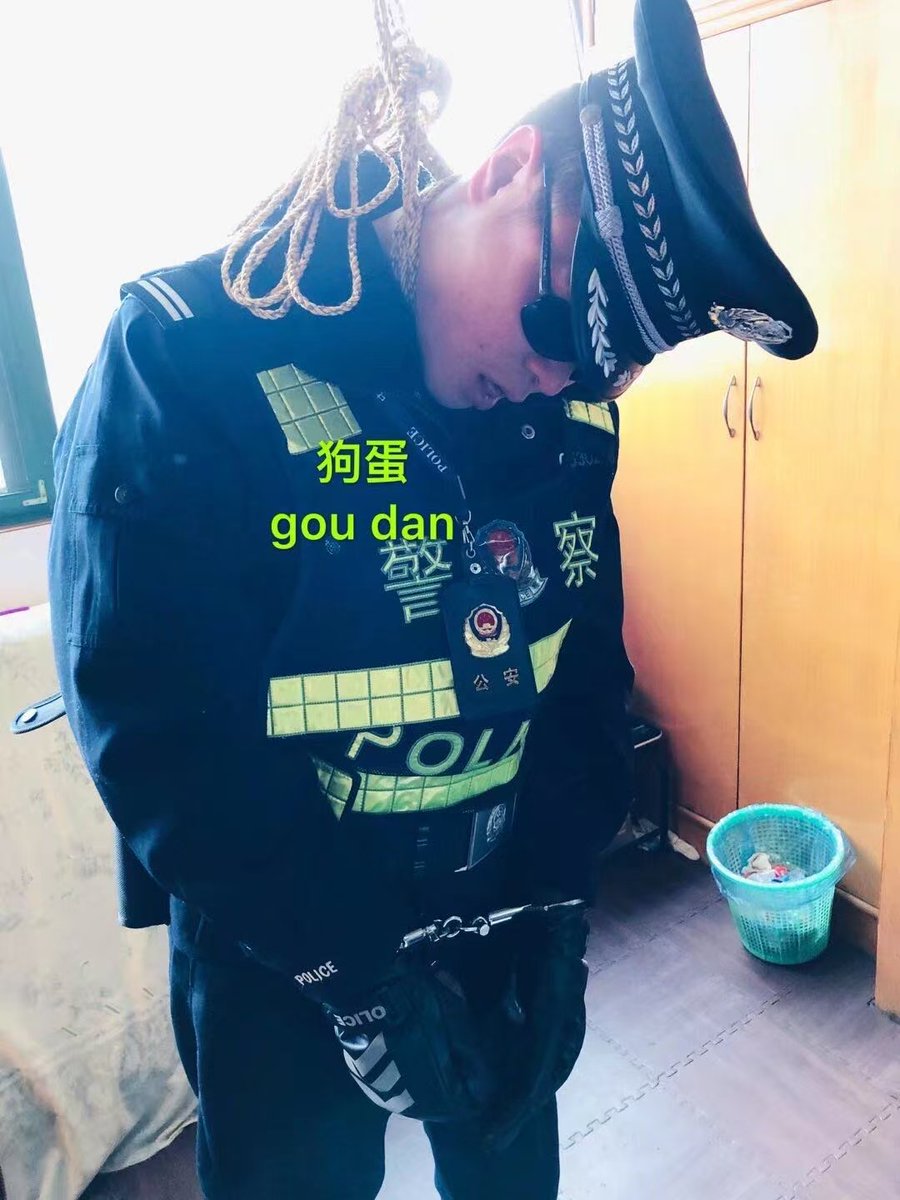壮熊狗蛋 tweet media