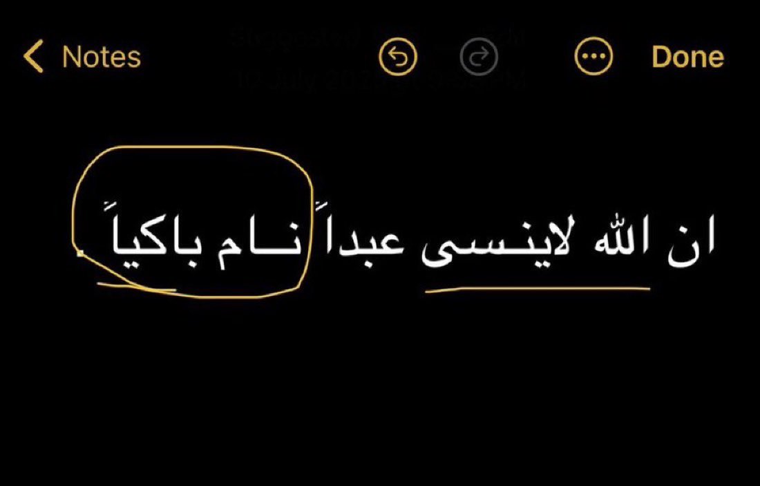 مـوطــن tweet media