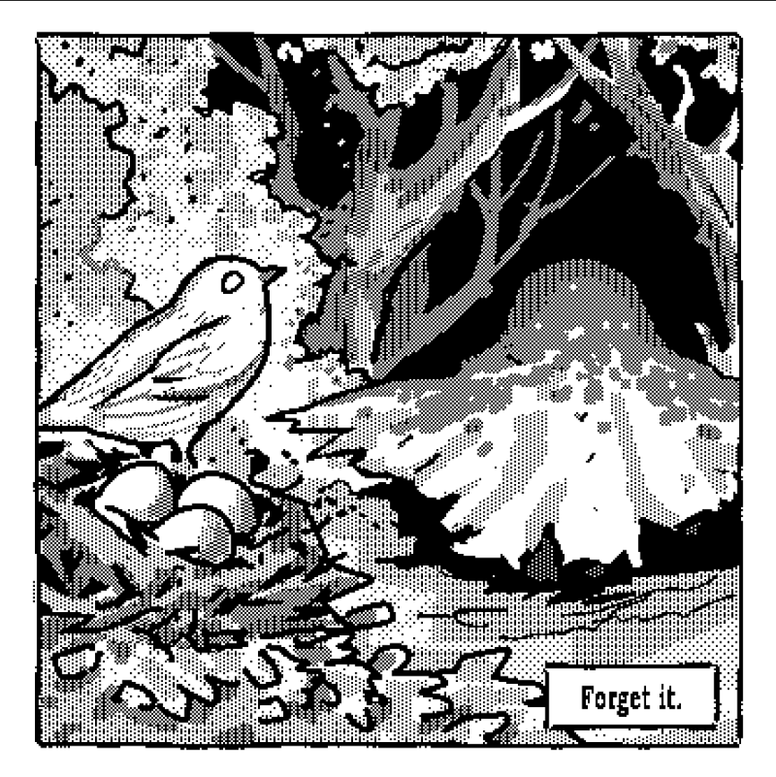 Roudicca tweet media