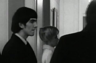 LesbianPaul tweet media