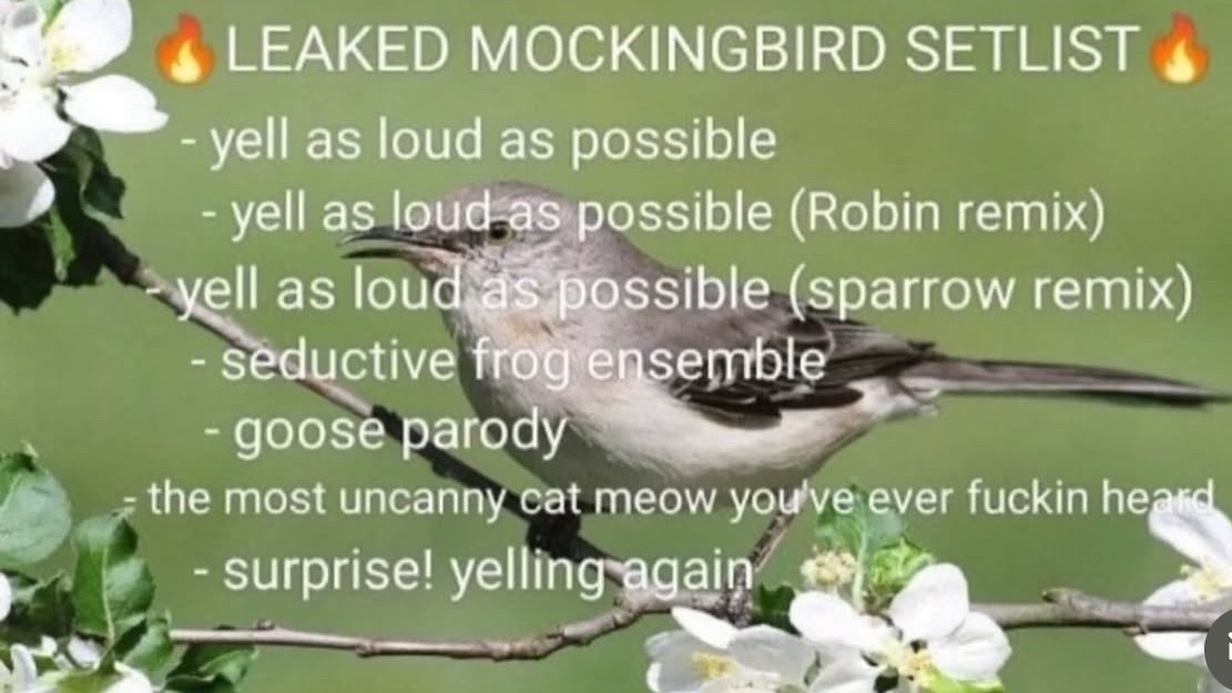 hannaH 🐦‍⬛✖️✖️ tweet media