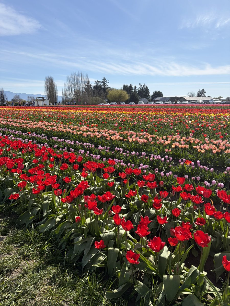 Ayamy🇺🇸⛰️🌊🌳 tweet media