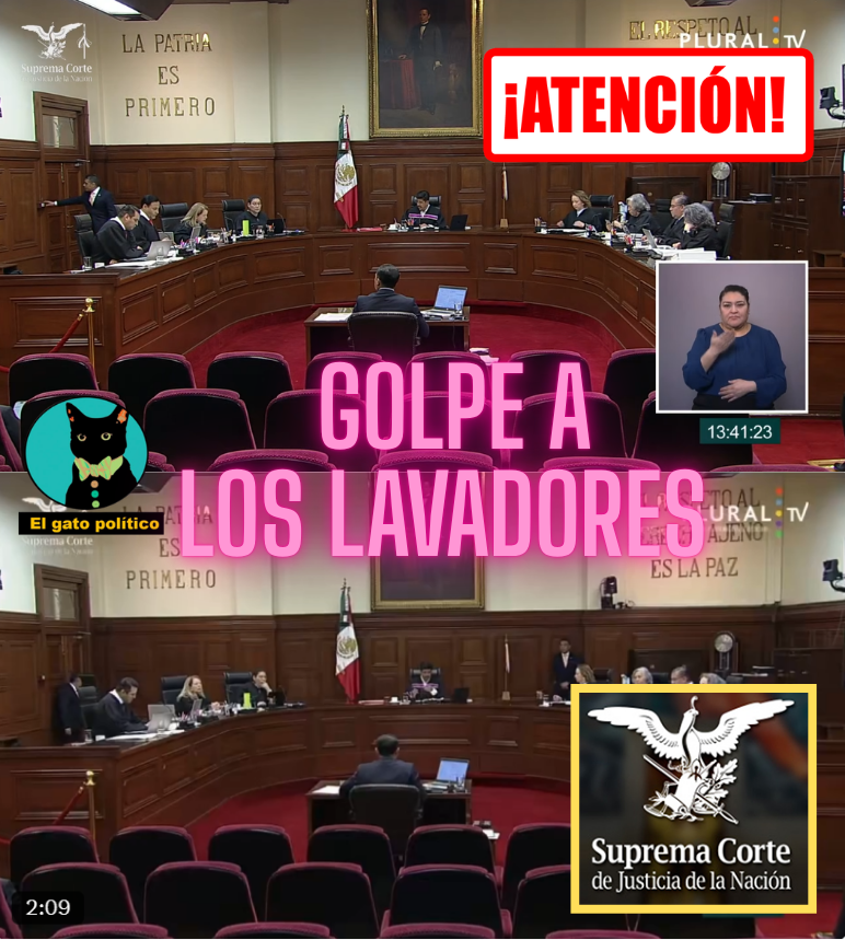 El gato político tweet media