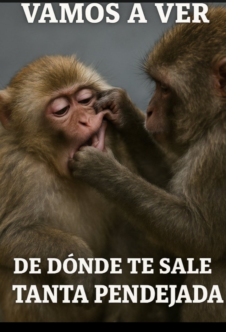 Aecio Moreno tweet media