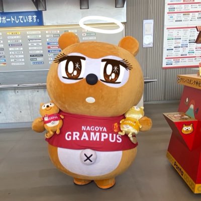 天使のグラポン(くま🐻ワテ) tweet media