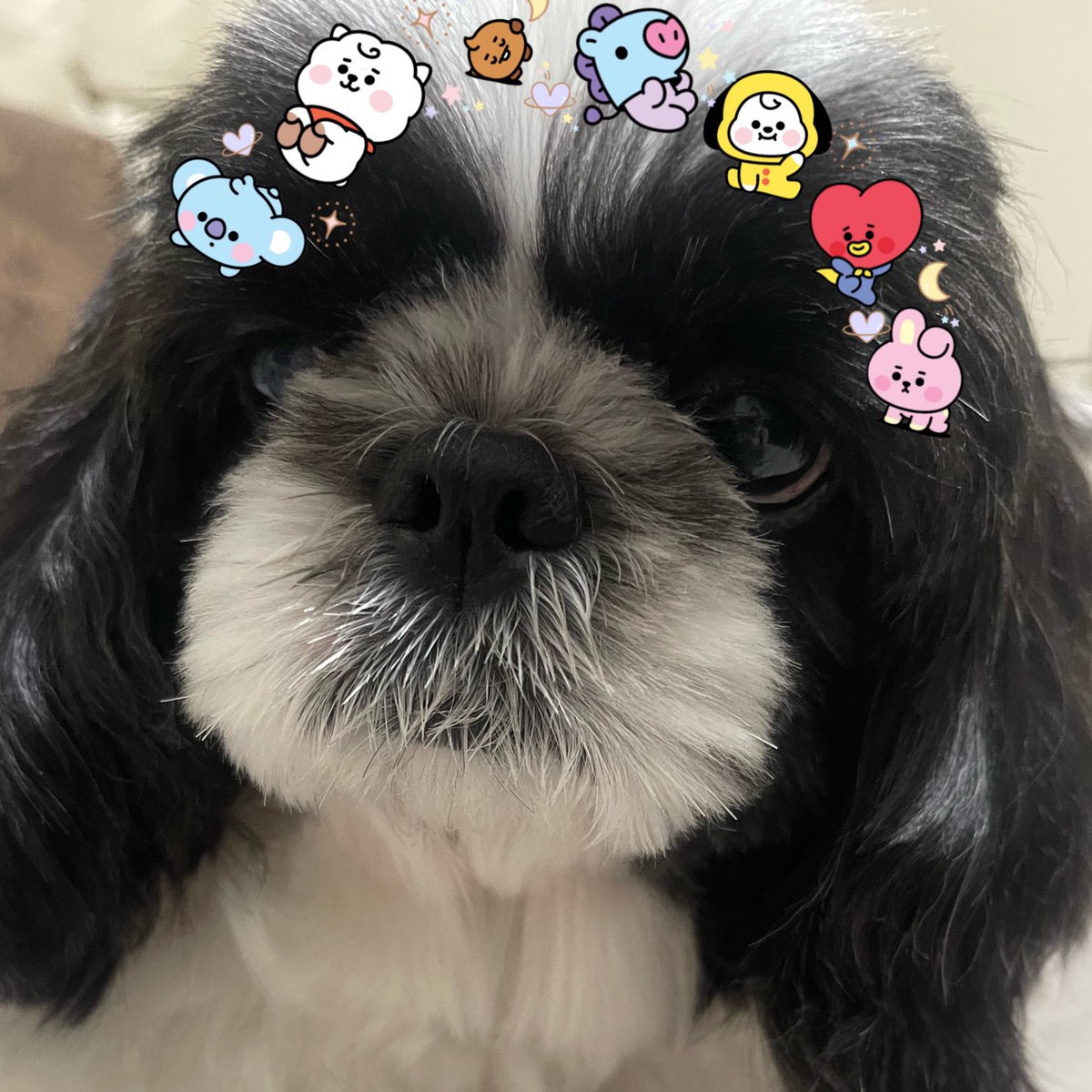 SAMYRANGྀི ⊙⊝⊜ tweet media