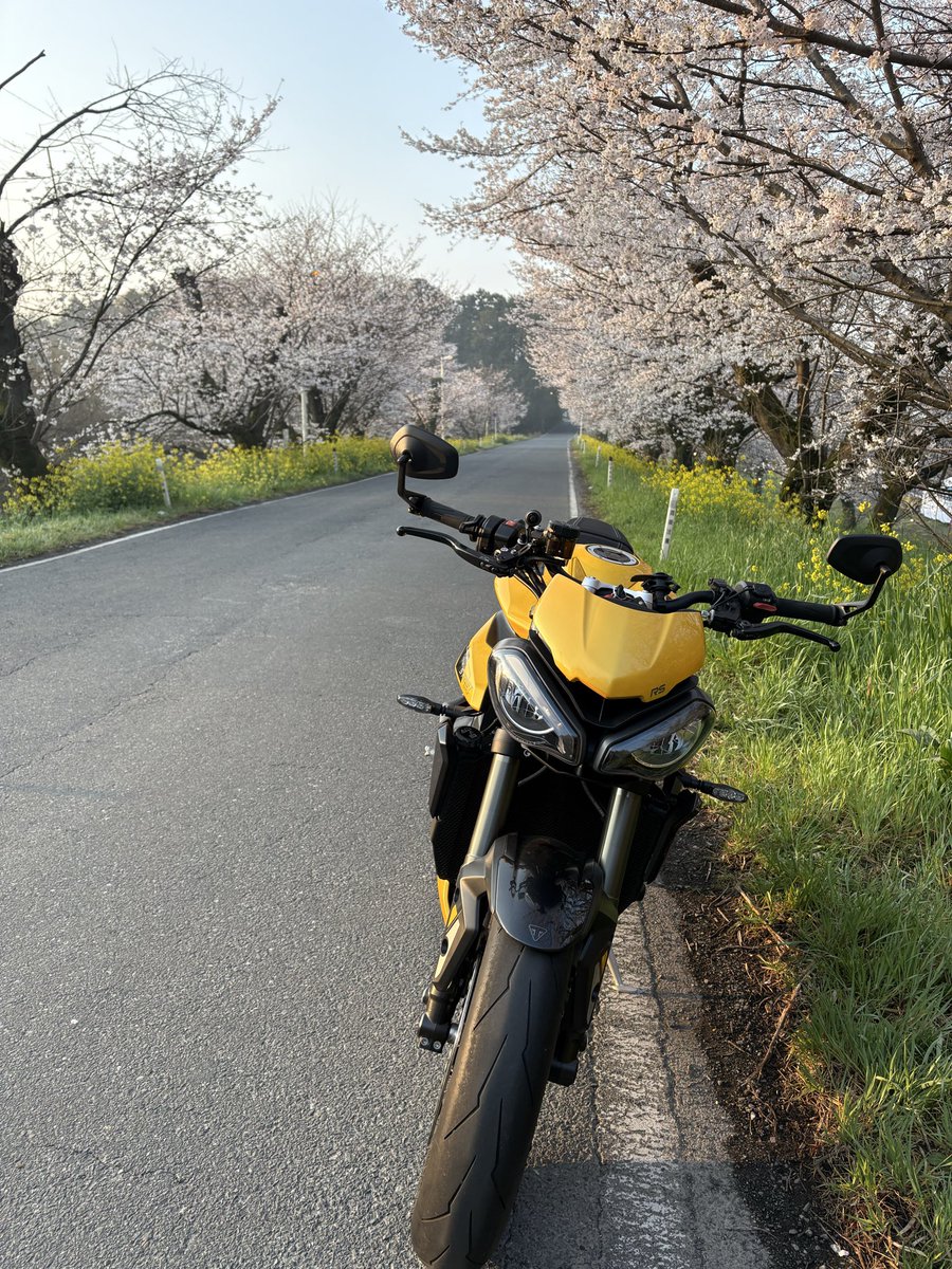 クラト tweet media