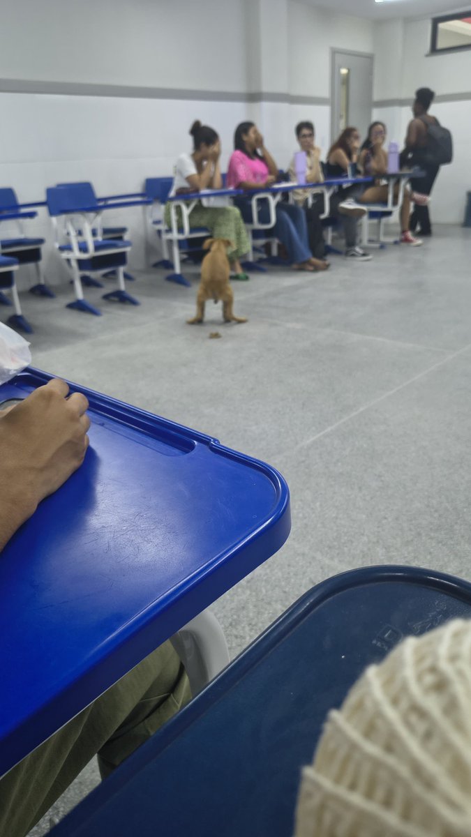 esnupi rubronegro tweet media