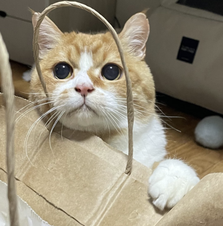 사랑해 뽀뽀또또 tweet media