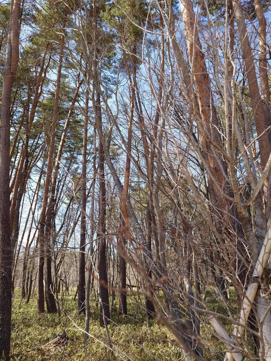 ビジネスホテルときわ【公式】 tweet media