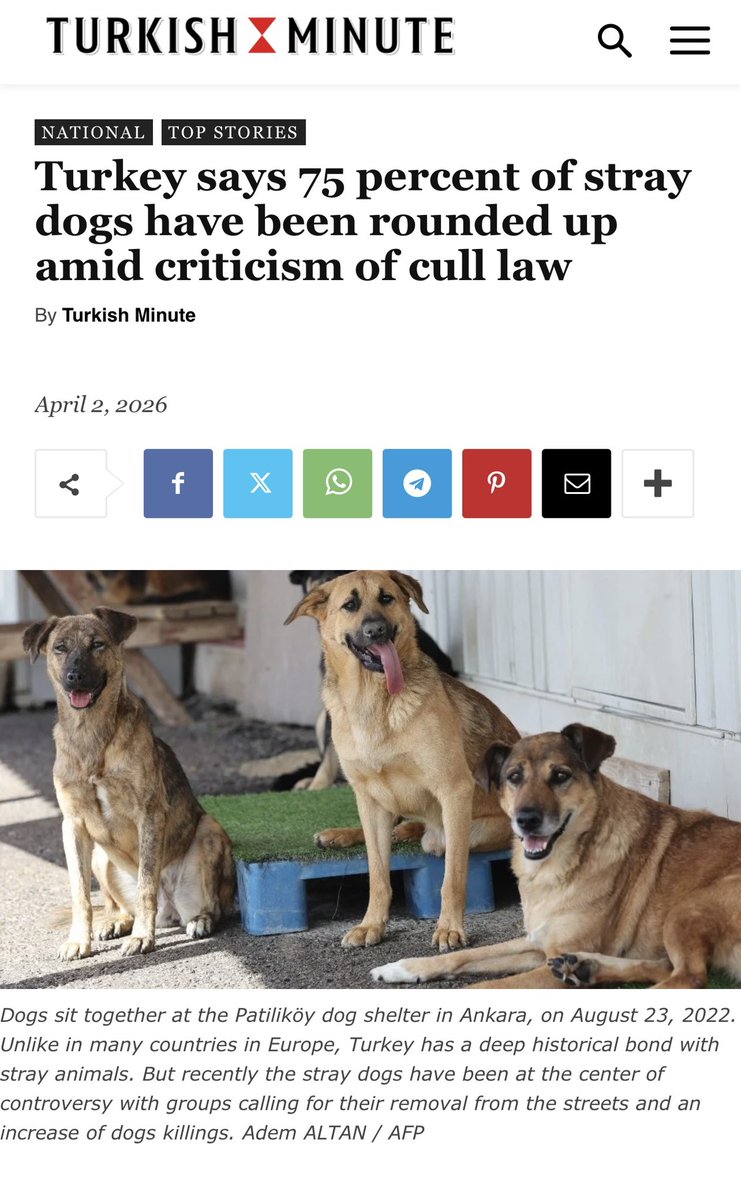 dominic dyer tweet media