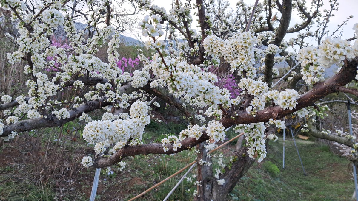 이근제 tweet media