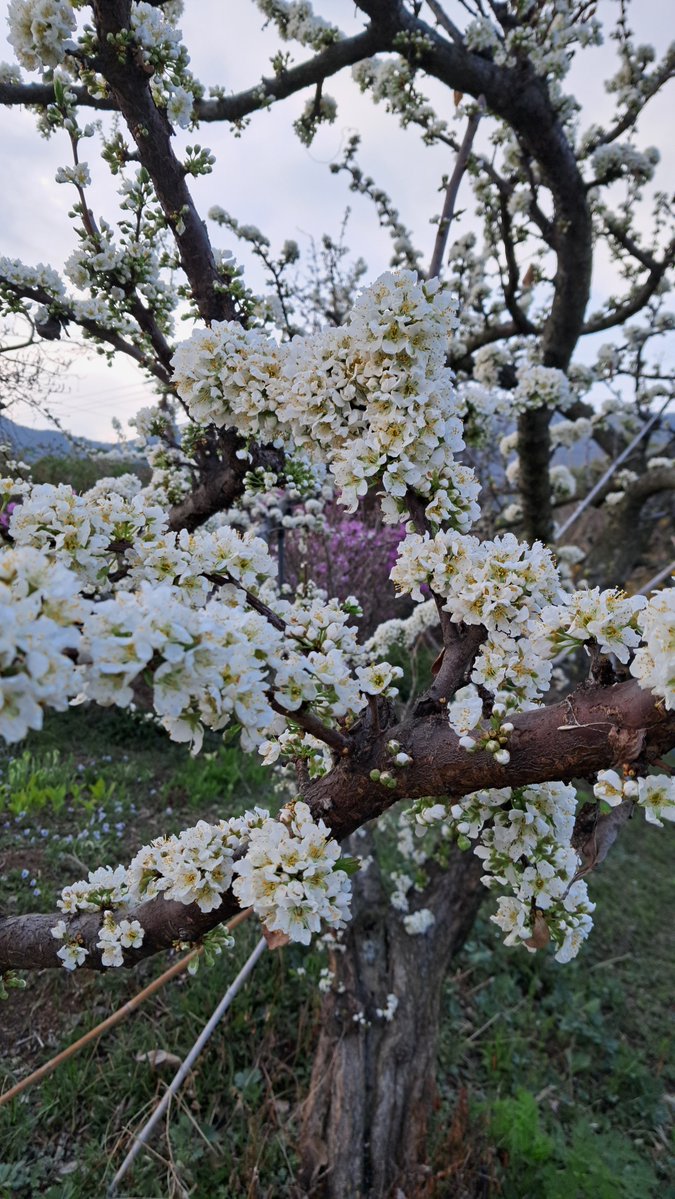 이근제 tweet media