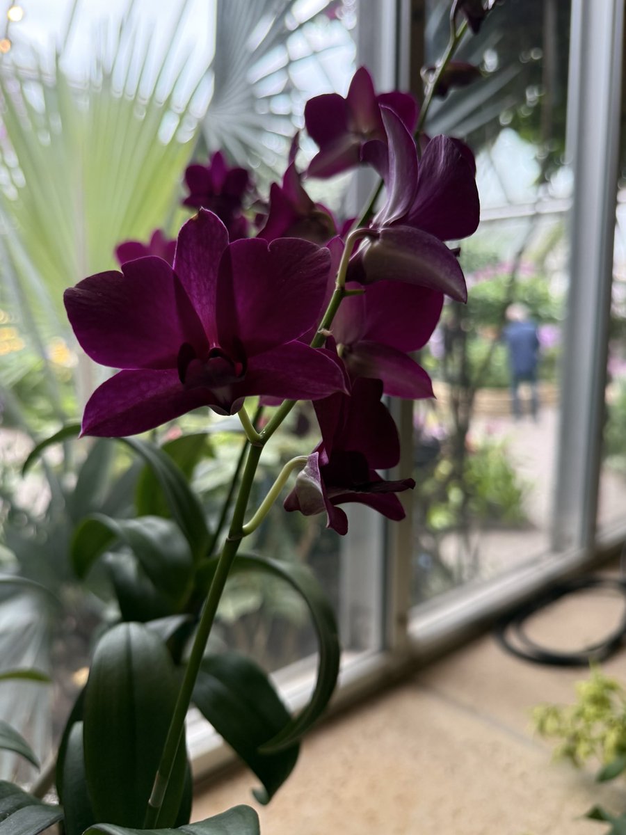 Chef Karen 🚫MAGATS allowed tweet media