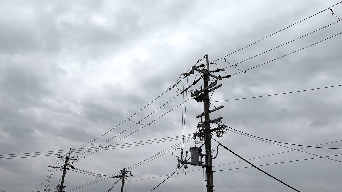 𖠅𖠌𖠔Taro tweet media