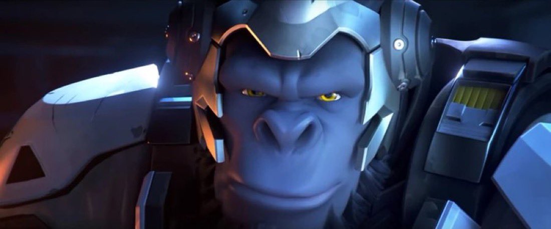 iLikeLettuse tweet media