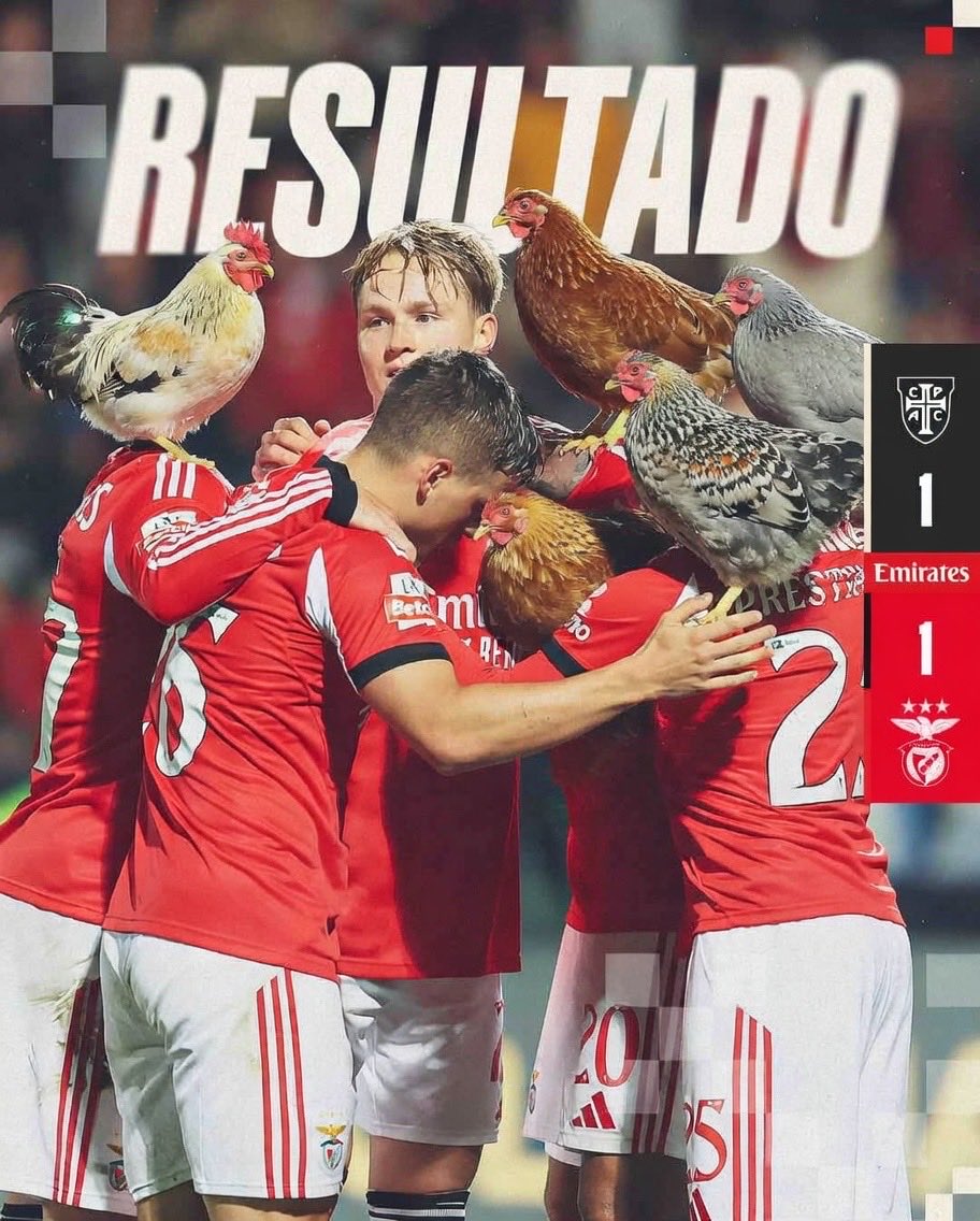 Nêgão da Piroca tweet media