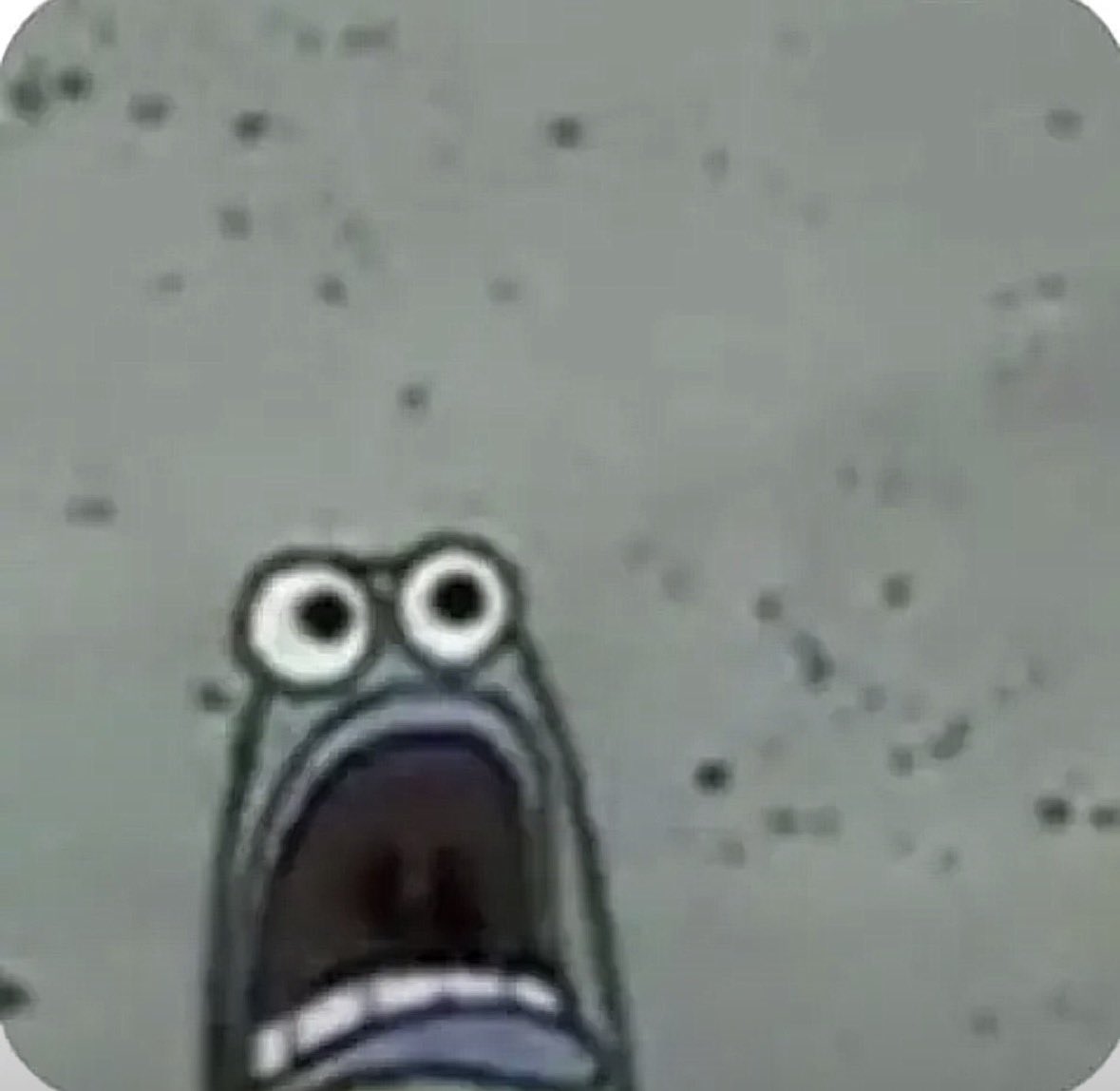 SeaMooseyy tweet media