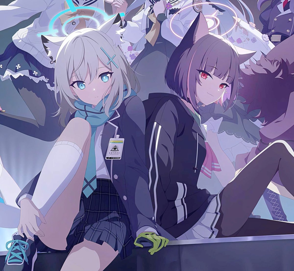 모래늑대🐺 tweet media